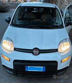 FIAT PANDA 1.0 FIRE FLY S&S HYBRID BENZINA/ELETTRI
