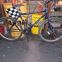 bicicletta usata
