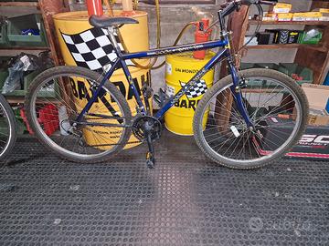 bicicletta usata