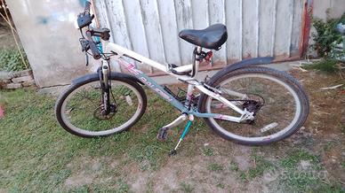 Mountain bike 