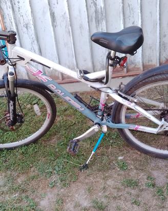 Mountain bike 