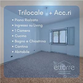 Piano Terra, Trilocale + Acc.ri