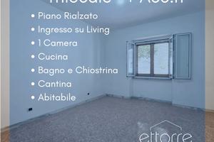 Piano Terra, Trilocale + Acc.ri