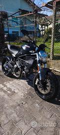 Ducati Monster 797