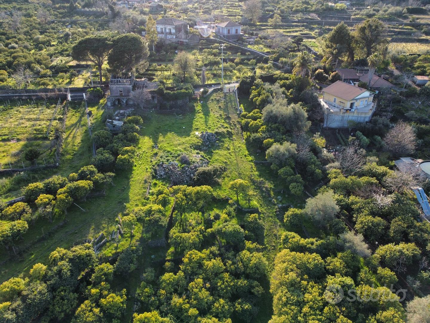 Terreno agricolo di metri 5190 - Vista 3