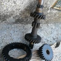 Terna cambio Fiat 500 L - F