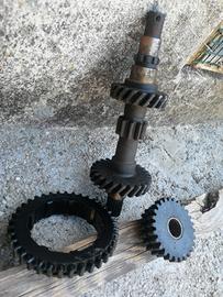 Terna cambio Fiat 500 L - F