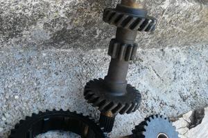 Terna cambio Fiat 500 L - F