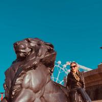 Commercio e servizio ristorazione