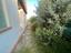 Immagine 9