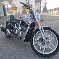 Harley Davidson v-rod 10 th anniversary
