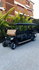 Golf Cart eléctrico 8 posti