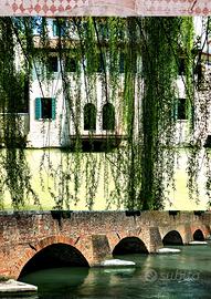 Treviso serie riflessi - foto d'autore