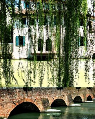 Treviso serie riflessi - foto d'autore