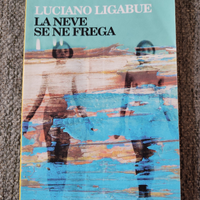 Libro La neve se ne frega
