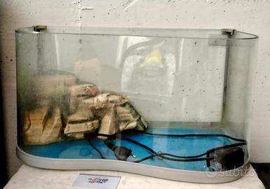 Acquario Tartarughe 