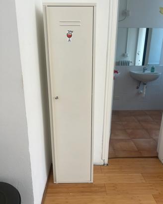 Armadio IKEA metallo bianco