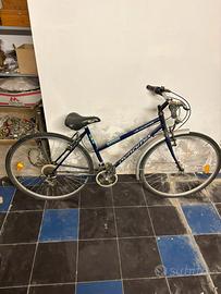 Bicicletta unisex blu