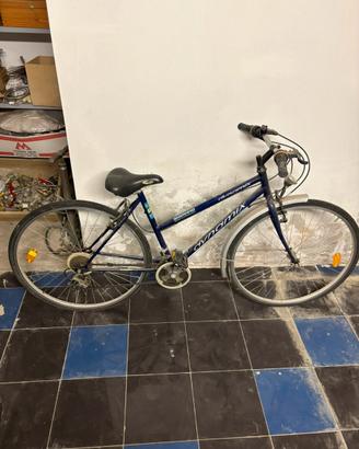 Bicicletta unisex blu