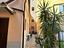 Immagine 20