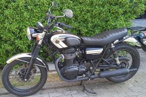 Kawasaki 800W Special Edition  2016