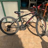 Bici ragazzo max 15 anni