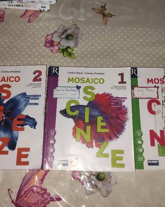 "Mosaico Scienze"