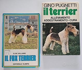 Gino Pugnetti + Else Williams = Terrier