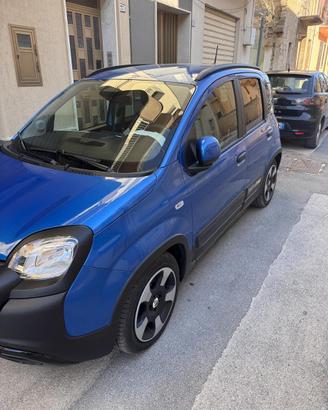 Fiat pandina