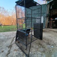 gabbie grandi per pennuti o roditori