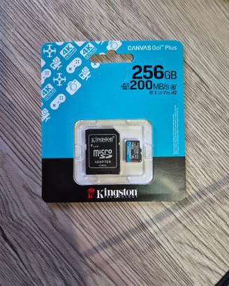 Scheda micro SD Kingston CANVAS Go! Plus 256GB