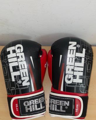 Guanti da Boxe