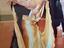 Immagine 5