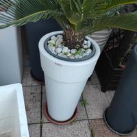 Vaso fioriera Kloris bianco, alto e di design