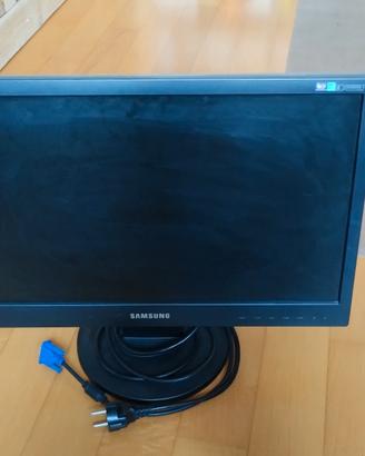 Monitor 22" Samsung 2243SN