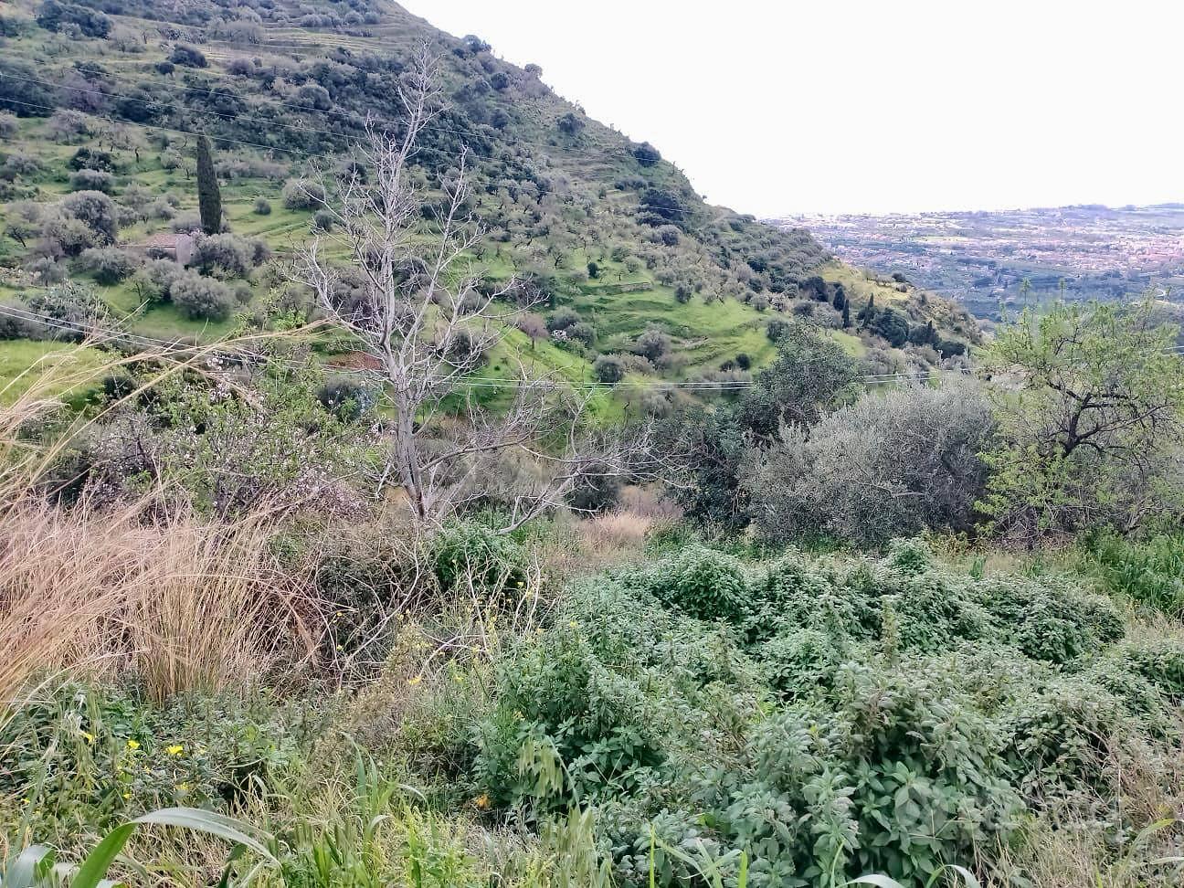 Terreno - Castelmola - Vista 2