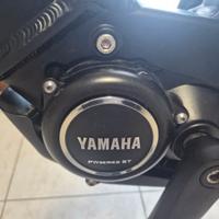 EBIKE MTB RAYMON HARDRAYL E 5.0