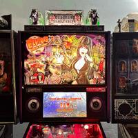 Flipper Stern “Elvira’s House of Horrors 40th”