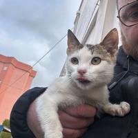 Una casa per Valentina