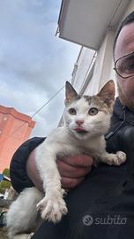 Una casa per Valentina