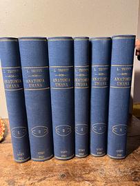 Anatomia Umana TESTUT