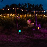 Luci da giardino o ambienti esterni