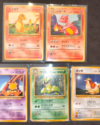 carte Pokemon old, Set Base e Jungle