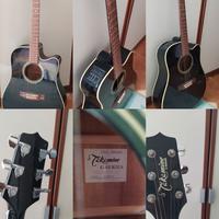 Chitarra acustica Takamine