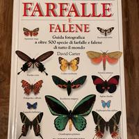 Farfalle e falene