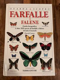 Farfalle e falene
