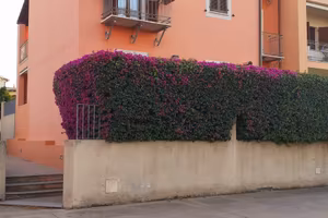 Villetta capo schiera ad Olbia