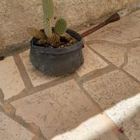 attrezzo antico( scarfalettu)