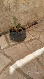 attrezzo antico( scarfalettu)