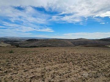 Terre a miglionico 003301